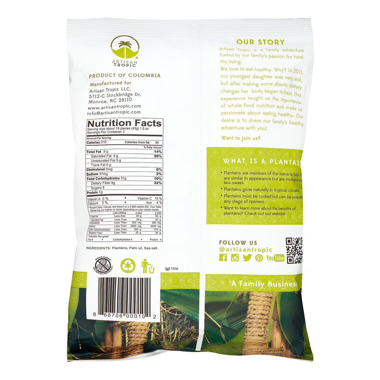 Artisan Tropic Plantain Strips with Sea Salt (12x4.5 OZ)